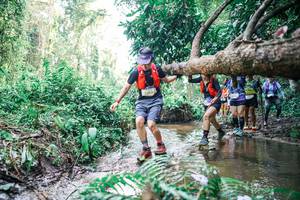 BIB: 
                            <button type="button" onclick="openModal(25474464)" class="btn btn-primary btn-sm float-right btn-popup" data-toggle="modal" data-target=".modal-high-quality">
                        <i class="fas fa-shopping-cart"></i> Add to Cart
                    </button>
                                            <button type="button" onclick="isThisMe(25474464, true)" class="btn btn-success btn-sm float-right btn-popup btn-isme hidden" data-toggle="tooltip" data-placement="bottom" title="นี่คือรูปของคุณใช่ไหม คลิกที่นี่เพื่อเอาเข้าอัลบั้ม">
                        <i class="fas fa-plus"></i> Add to album
                    </button>
                    <button type="button" onclick="isThisMe(25474464, false)" class="btn btn-warning btn-sm float-right btn-popup btn-isnotme hidden">
                        <i class="fas fa-ban"></i> Remove from album
                    </button>